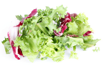 Salad leafs