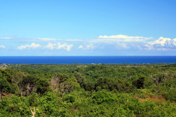 Fototapeta na wymiar Atlantic ocean from mountains view