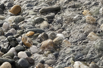 Obraz premium Морская галька на пляже в Сочи.