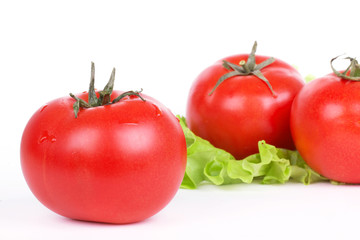 Tomatoes and green salad leaf