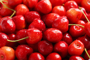Sweet ripe cherry background