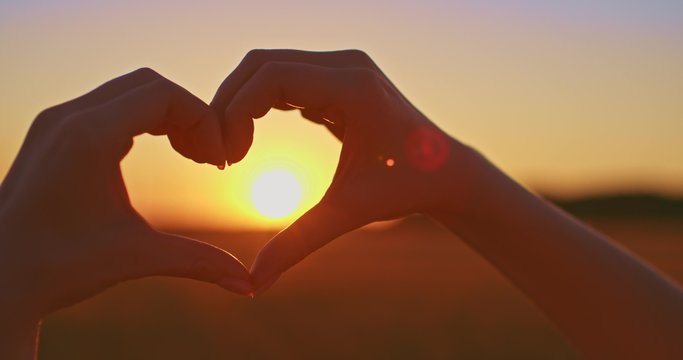 Slow Motion. Woman shapes heart with hands over sun on sunrise or sunset in a wheat field. 