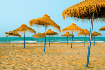 Reed umbrellas on the beach