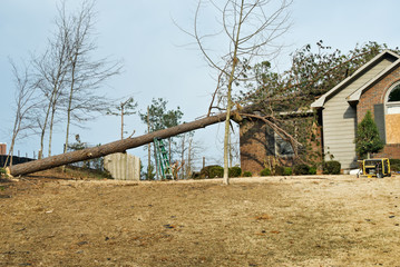 Tornado Damaged House with a Pine Tree on the Roof