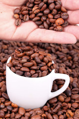Coffee beans in hand and cup with coffee beans