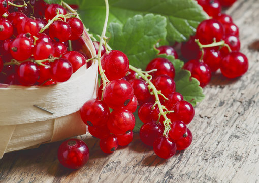 Fresh red currants in a wicker basket, selective focus