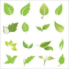 green leaves design elements icon set vector illustration.