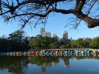 Naklejka premium Rosengarten in Palermo/Buenos Aires