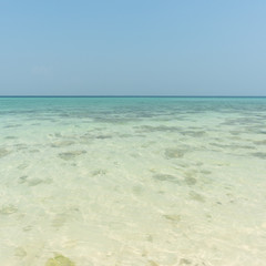 blue sea