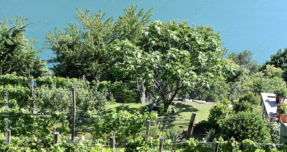 1000_F_86345615_nsAVyz6hf8to6256o8Fe9xfrKbjW45Gi.jpg