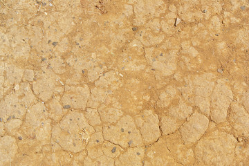 Dried cracked ground in the drought season