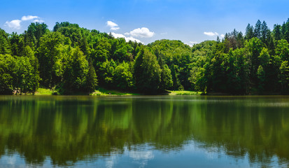 Fototapeta na wymiar lake and trees