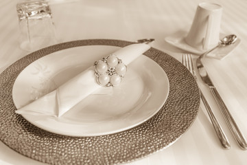 Luxuriöses Arrangement Besteck&Teller Sepia