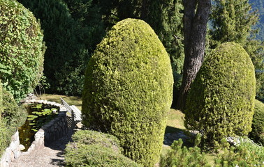 jardin...am&eacute;nagement