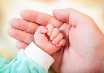 Baby hand in mother's palm
