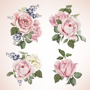 Set of bouquets of roses, watercolor, can be used as greeting ca