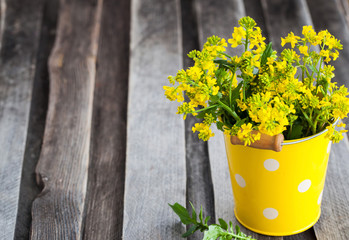 Beautiful summer yellow flowers