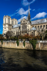 Naklejka premium Cathedral Notre Dame de Paris on Cite Island, Paris, France.