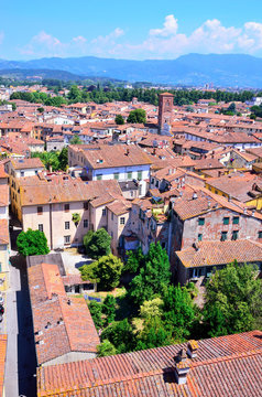 view from above of Lucca (Tuscany, Italy)