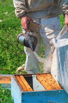 beekeeper