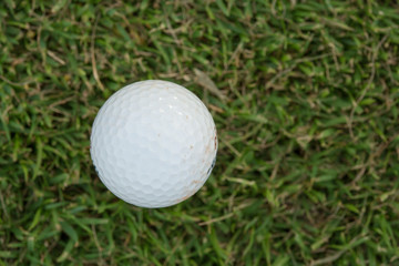 Golf Ball and Golf Club on grass