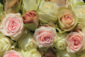 White and Pink roses in wedding arrangement