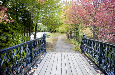 Bridge in park