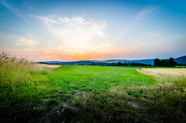 am Rhein