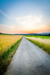 Fototapeta premium Landstrasse