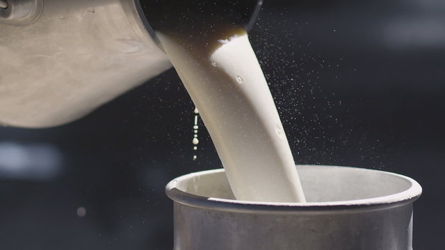 Fresh milk being poured into a clean metal container under the sun