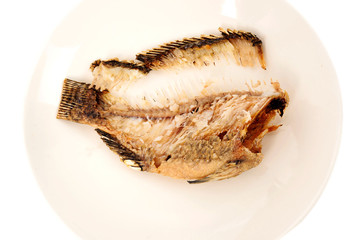 Fish bone in white dish