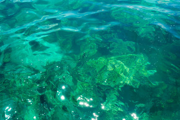 Fototapeta na wymiar Green sea water