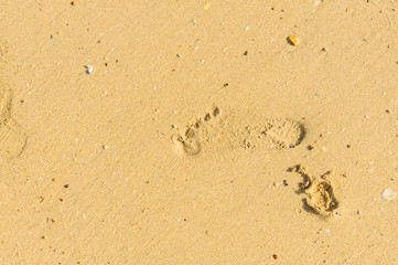 Fototapeta na wymiar Foot step on sand