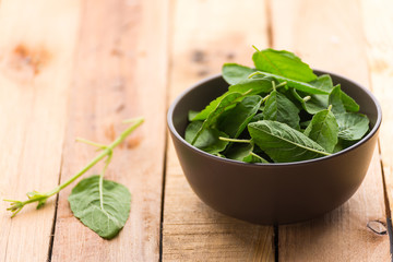 holy basil in a bowl