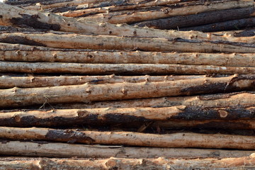 Timber