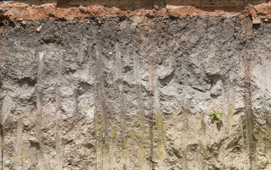 soil profile in cross section.