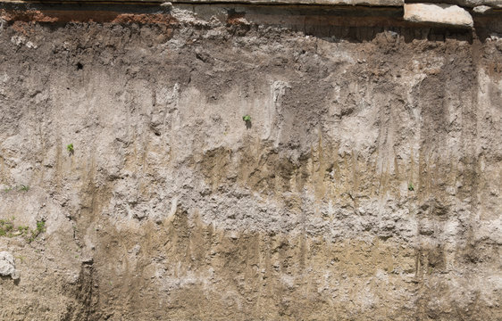 soil profile in cross section.