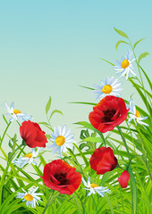 Fototapeta premium Vector Summer Flower Flyer