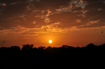 Sunrise at Kruger National Park