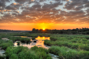 Sunrise at Kruger National Park - obrazy, fototapety, plakaty