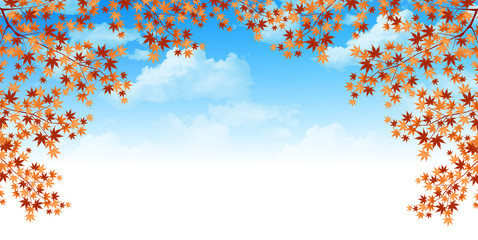 もみじ　紅葉　背景