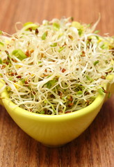 Bowl with alfalfa and radish sprouts on wooden table