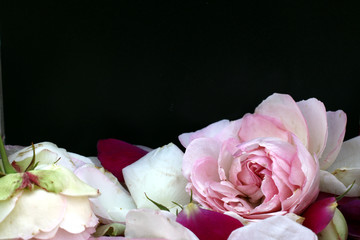 Schild zum Beschriften für Rosengarten