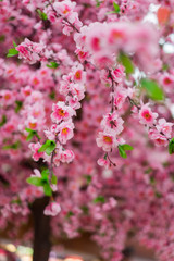 Close up of fake pink sakura flowers