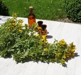 Johanniskraut, Hypericum perforatum , Kräuter, Tinktur, Massage, Entspannung
