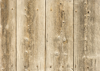 Holz Wand Grunge alt