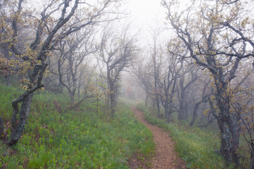 Тропами Кара-Дага