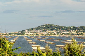 Austernzucht im Etang de Thau bei Sete © dietwalther
