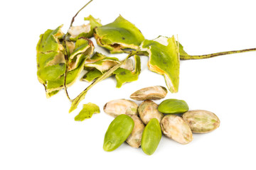 Petai seeds with the its skin, seed pods and cluster at background