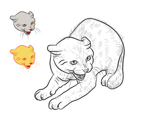 Drawing of threaten cat